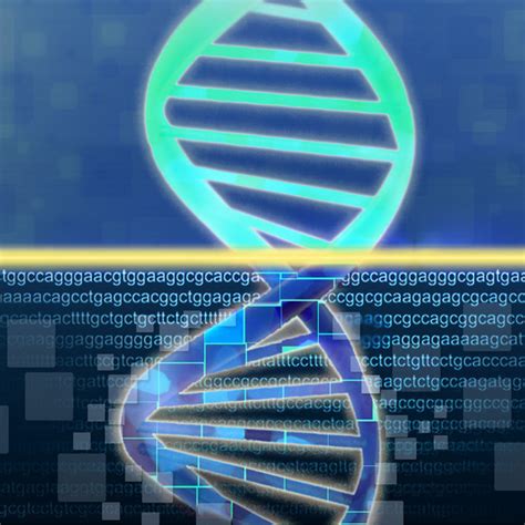 KittyD: Shaping the Future of DNA Sequencing