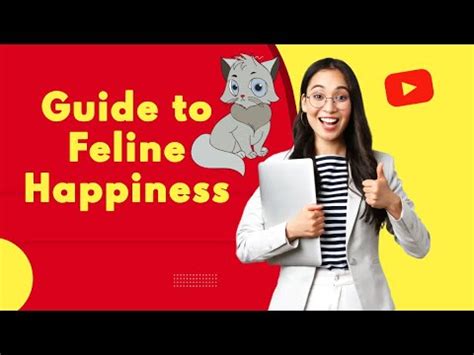 Kittybaby: Your Ultimate Guide to Feline Happiness