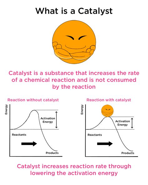 Kittyrias: A Catalyst for Human Well-being