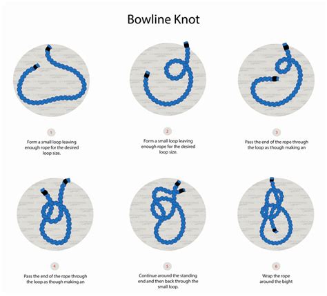 Knot: