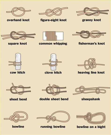 Knots in Various Contexts