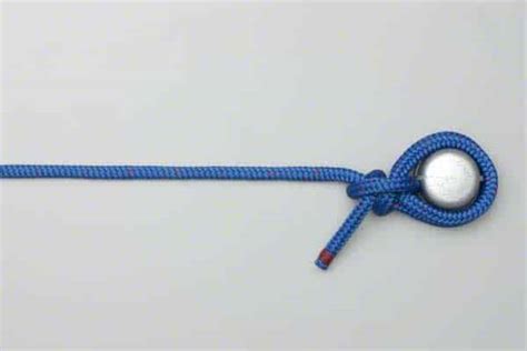 Knotty Knot: Decoding Knots Every Sailor Must Know