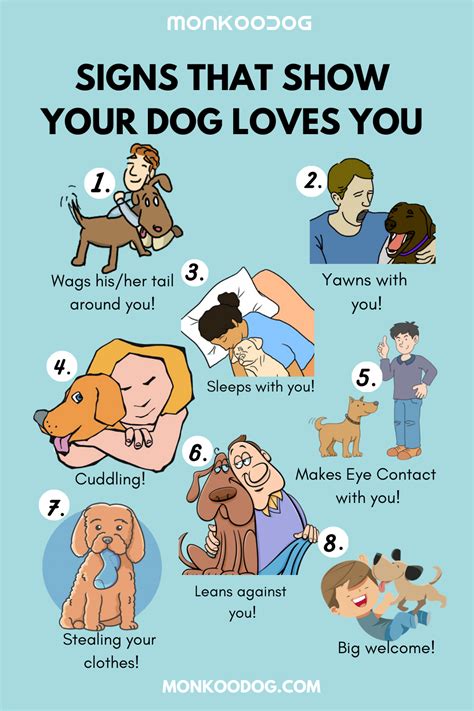 Know Your Dog Kindle Editon