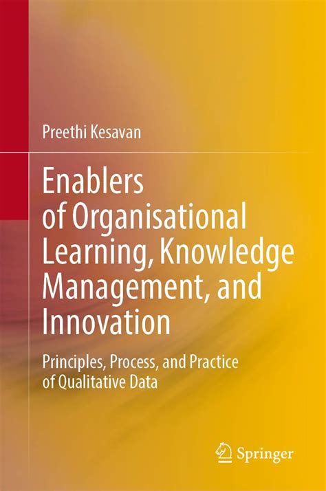 Knowledge Management in the Innovation Process 1st Edition Kindle Editon