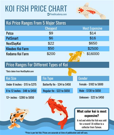 Koi Fish Price Chart