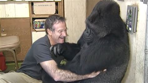 Koko and Robin Williams: A Legacy of Laughter, Love, and Animal Advocacy