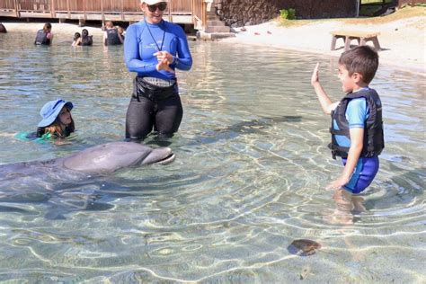 Kona A Dolphin s Quest