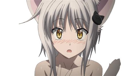 Koneko: The Enigmatic and Ferocious Nekomata from High School DxD