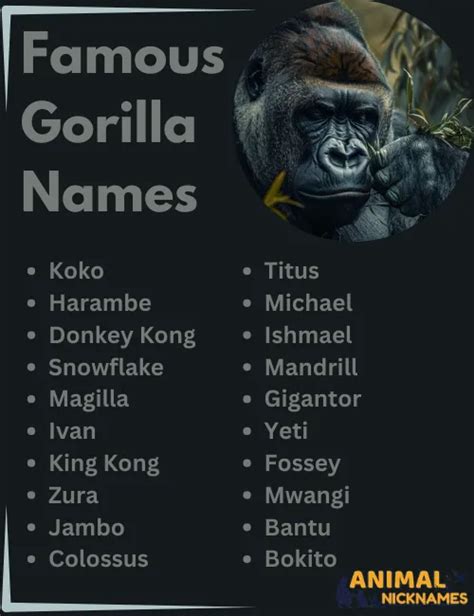 Kong, Harambe, Koko: The Mighty Names of the Gorilla Kingdom