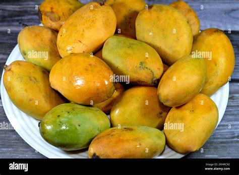 Konkan Mango: A Tropical Delicacy with Unrivaled Flavor