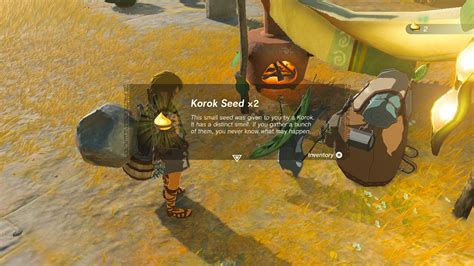 Korok Seeds in TOTK: 10,000 Tips and Tricks to Find Them All