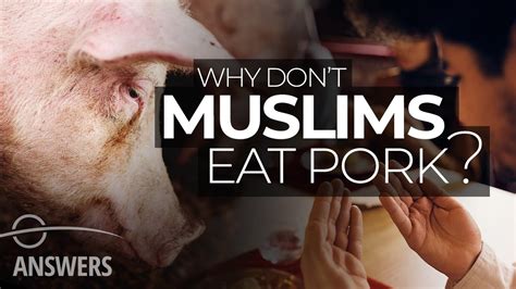 Kosher Pig: Unraveling the Enigma of Halal Pork