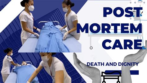 Kota Morgue: A Comprehensive Guide to Care for Bodies Post-Mortem