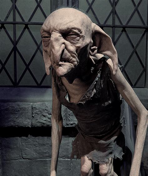 Kreacher: The House-Elf Who Despised Filth and Muggles