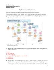 Kuby Answer Key Doc