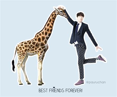 Kwang Soo: The Giraffe, the Man, the Legend