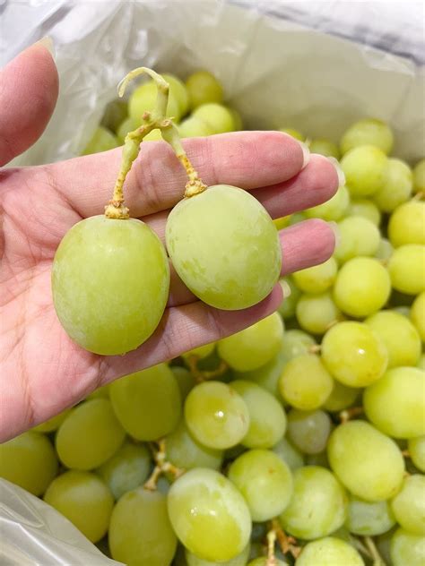 Kyoho Grapes: The King of Grapes, Rich in Antioxidants and Health Benefits