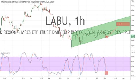 LABU Stock Price Prediction: Surge of 247.2% in 5 Years