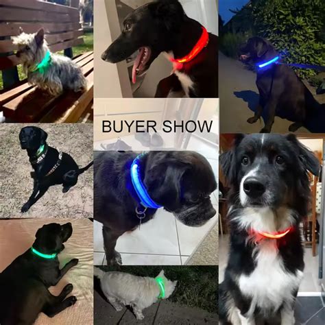 LED Dog Collars: Illuminate Your Pet's Safety and Style