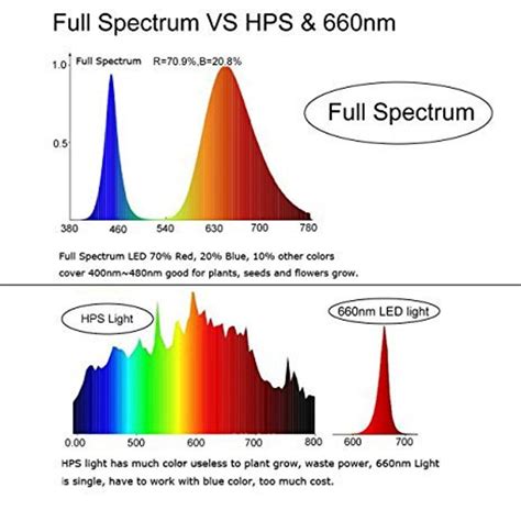 LED Rouge: Uncovering the Spectrum of Benefits