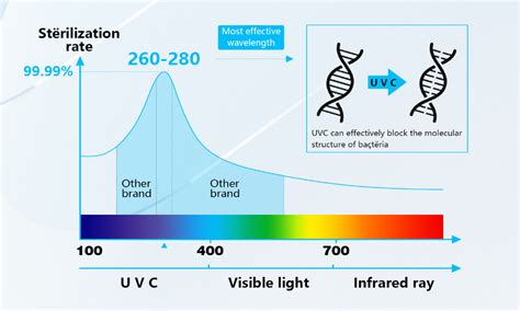 LED and UV lamps: