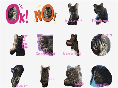 LINEで人気の猫スタンプ：種類・使い方・ダウンロード方法