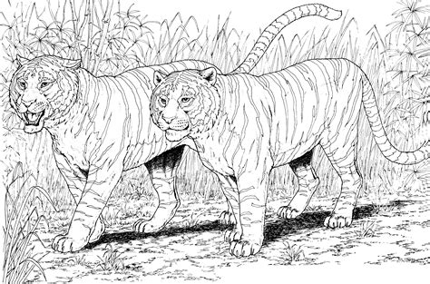 LIONS AND TIGERS Big Cats Coloring Book PDF