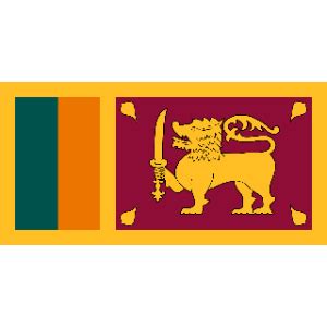 LKR to USDT: A Comprehensive Guide to Converting Sri Lankan Rupees to Tether