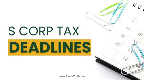 LLC Tax Deadline 2024: Everything You Need to Know