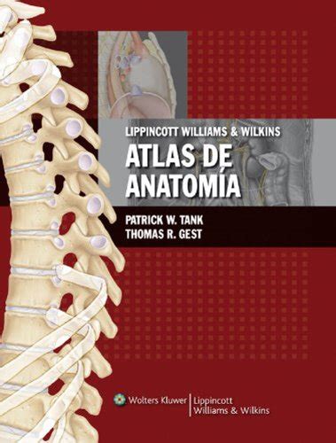 LWW Atlas de Anatomia Spanish Edition Epub
