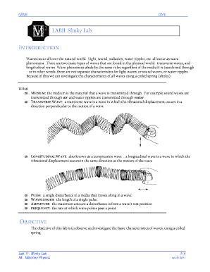 Lab 11 Slinky Answers Epub