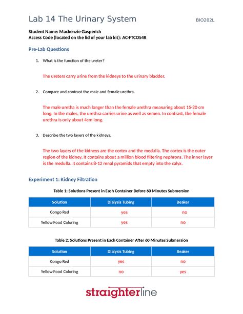 Lab 14 Answers Anatomy Epub