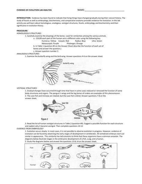 Lab 38 Evidence For Evolution Answer Key Epub