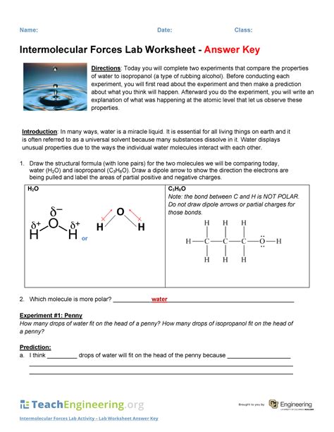 Lab 4 Intermolecular Forces Pcc Answer Key Reader