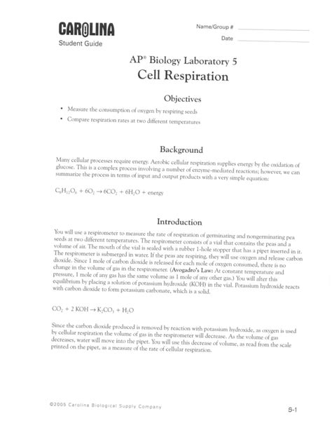 Lab 5 Cellular Respiration Answer Key Epub