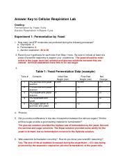 Lab 8 Respiration Answers Reader