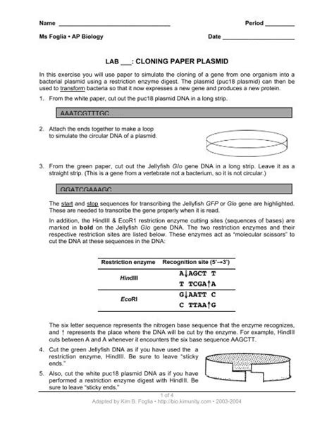 Lab Cloning Paper Plasmid Answers PDF