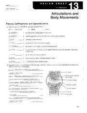 Lab Exercise 13 Articulations And Body Movements Answer Sheet PDF