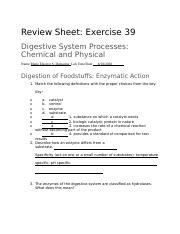 Lab Exercise 39 Digestive System Answers Doc