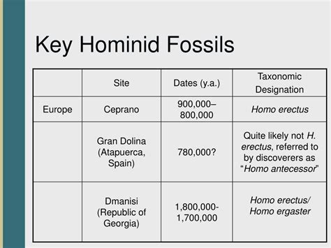 Lab Investigating Hominid Fossils Answer Key Reader