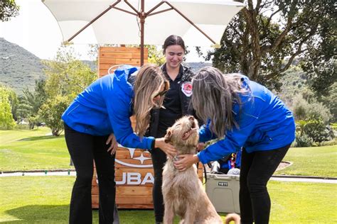 Lab Rescue San Diego: A Comprehensive Guide to Saving Lives One Paw at a Time