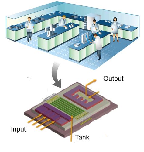 Lab-on-a-Chip Devices: