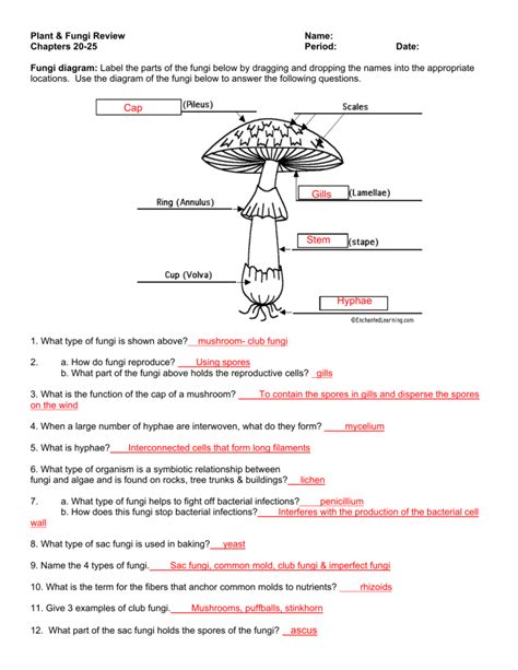 Label Fungi Answers Epub