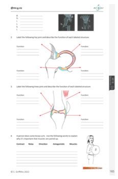 Laboratory 18 Joints Answers Reader