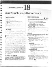 Laboratory Exercise 18 Joints Answers Reader