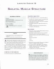 Laboratory Report 18 Skeletal Muscle Structure Answers PDF