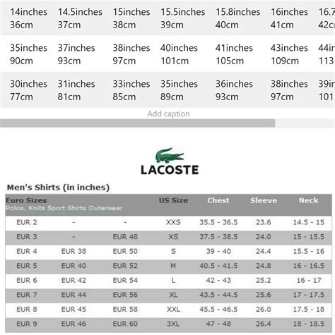 Lacoste Medium Size Chart
