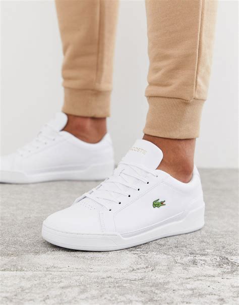 Lacoste White Sneaker Men's: Step Up Your Footwear Game