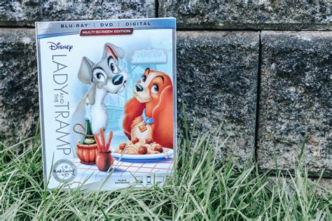 Lady and the Tramp DVD Movie: A Timeless Tale of Love and Adventure