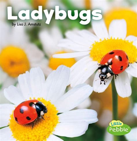 Ladybugs Ebook Doc